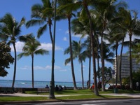 ハワイ　素敵な風景